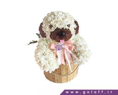 خرید اینترنتی گل طبیعی - گل تولد نوزاد آکیوشی - Flower Toy | گل آف
